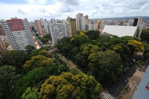 Imagem de destaque