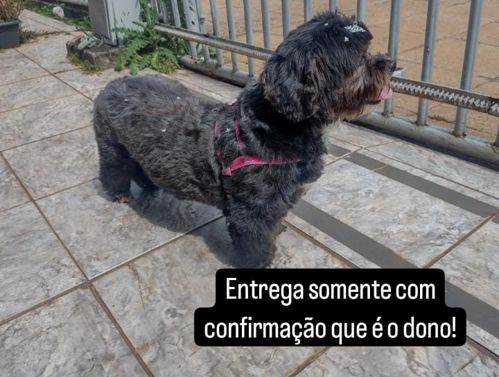 Imagem de destaque