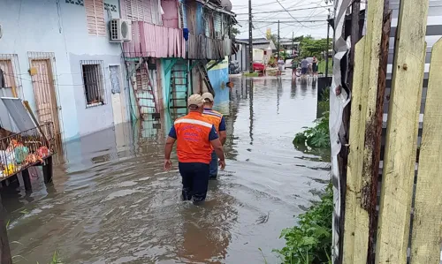 Imagem de destaque