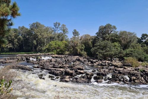 Com 16 hectares de área, Estado vai implementar três parques para proteger o Rio Iguaçu