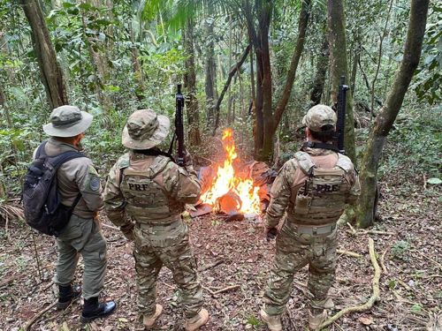 Instalações de caçadores foram destruídas