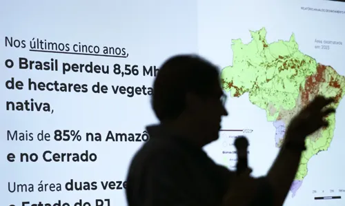 O Brasil perdeu 110 milhões de hectares dessas áreas, o que equivale a 13% do território do país