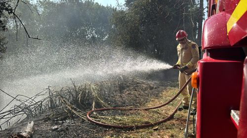 Imagem de destaque