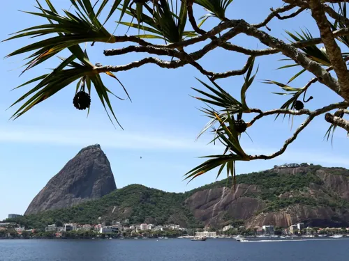 Imagem de destaque