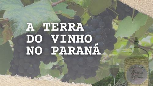 Imagem de destaque