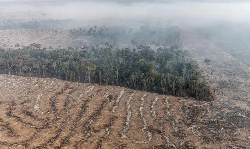 Imagem de destaque