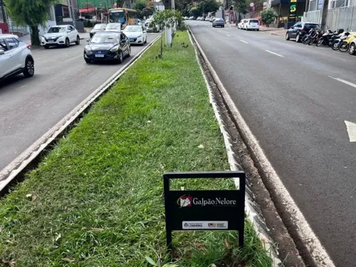 Imagem de destaque