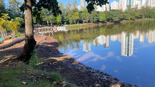 Imagem de destaque