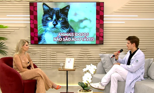 Imagem de destaque