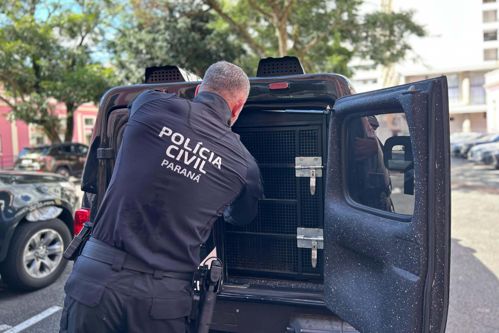 Imagem de destaque