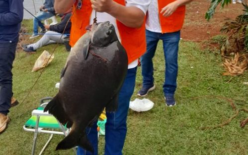 Imagem de destaque