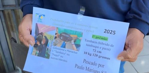 Imagem de destaque