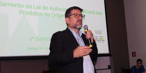 Imagem de destaque