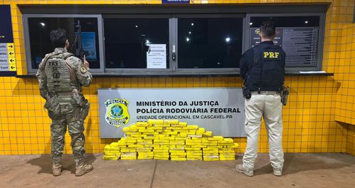 Imagem de destaque
