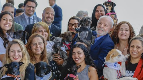 Imagem de destaque