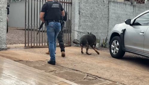 Imagem de destaque