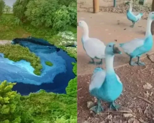 Imagem de destaque