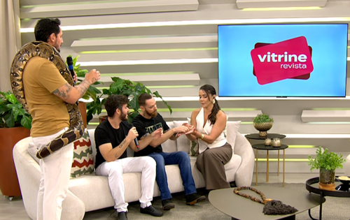 Imagem de destaque