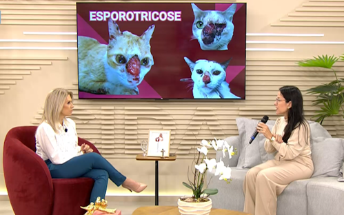 Imagem de destaque