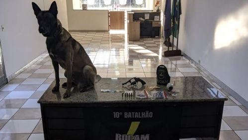 Imagem de destaque