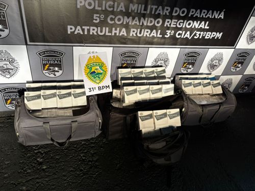 Imagem de destaque