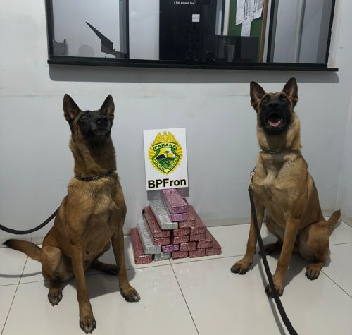 Imagem de destaque