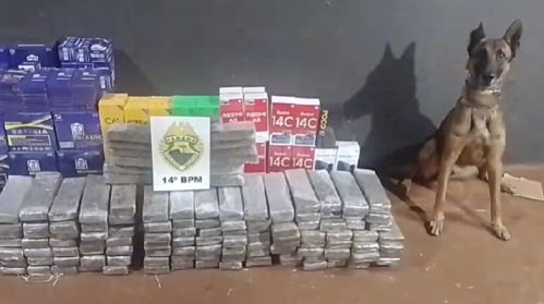 Imagem de destaque