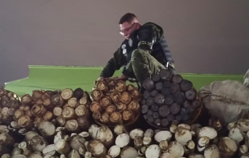 Imagem de destaque