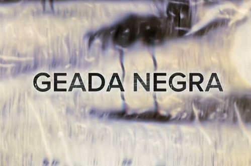 Imagem de destaque