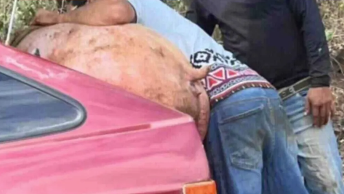 Imagem de destaque