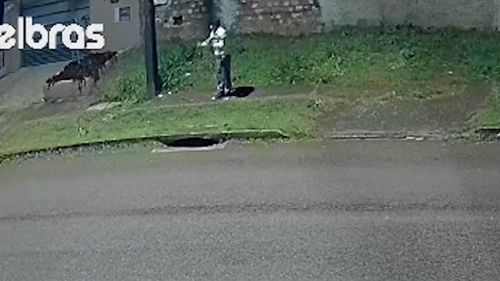 Imagem de destaque